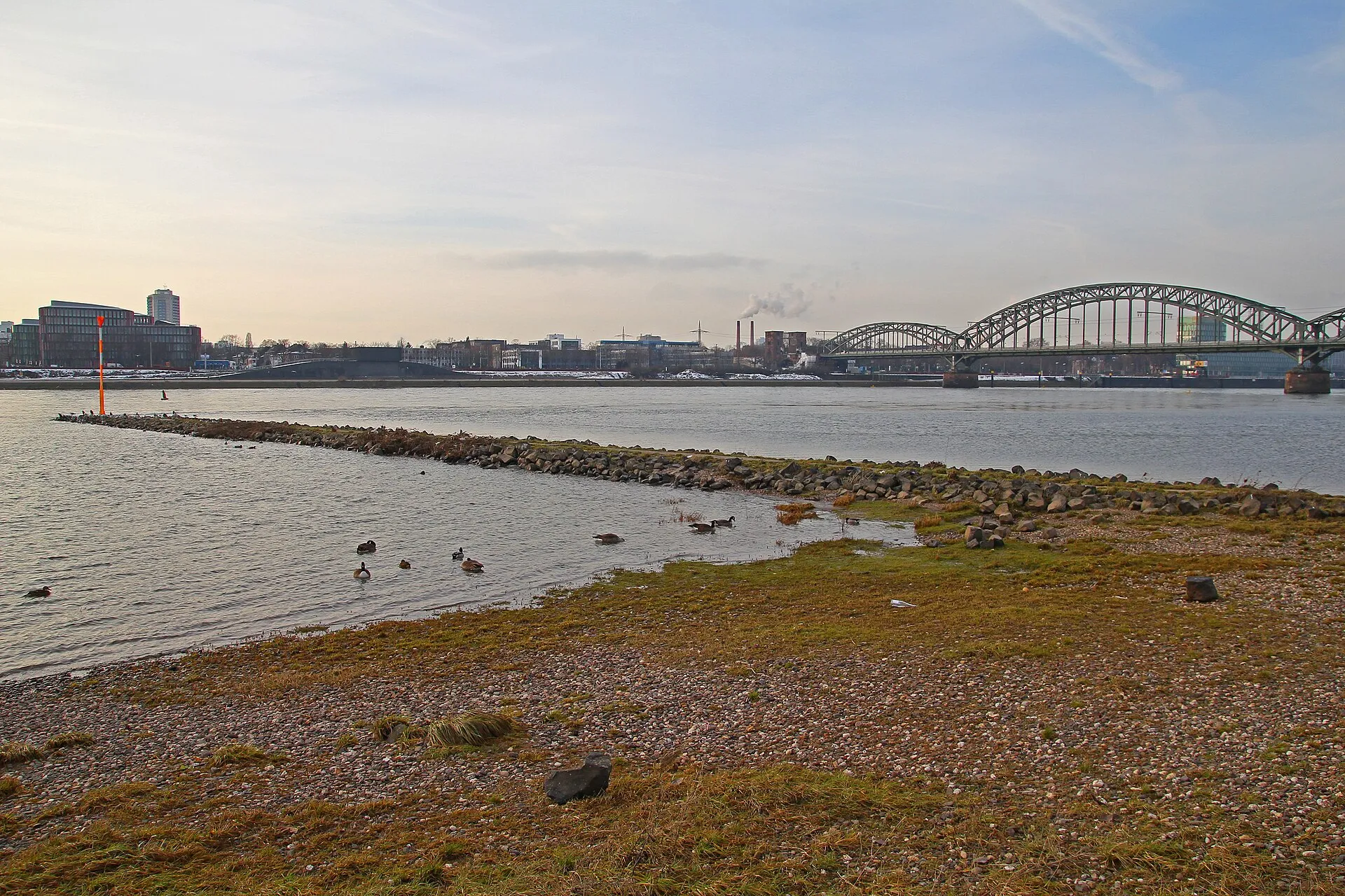 Blick auf den Rhein in Köln von den Poller Wiesen. Eine Landzunge von den ehemaligen Poller Köpfen .