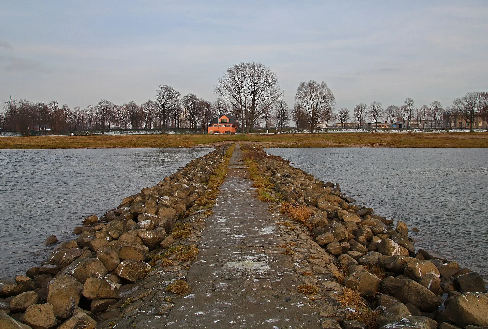 Poller Köpfe
