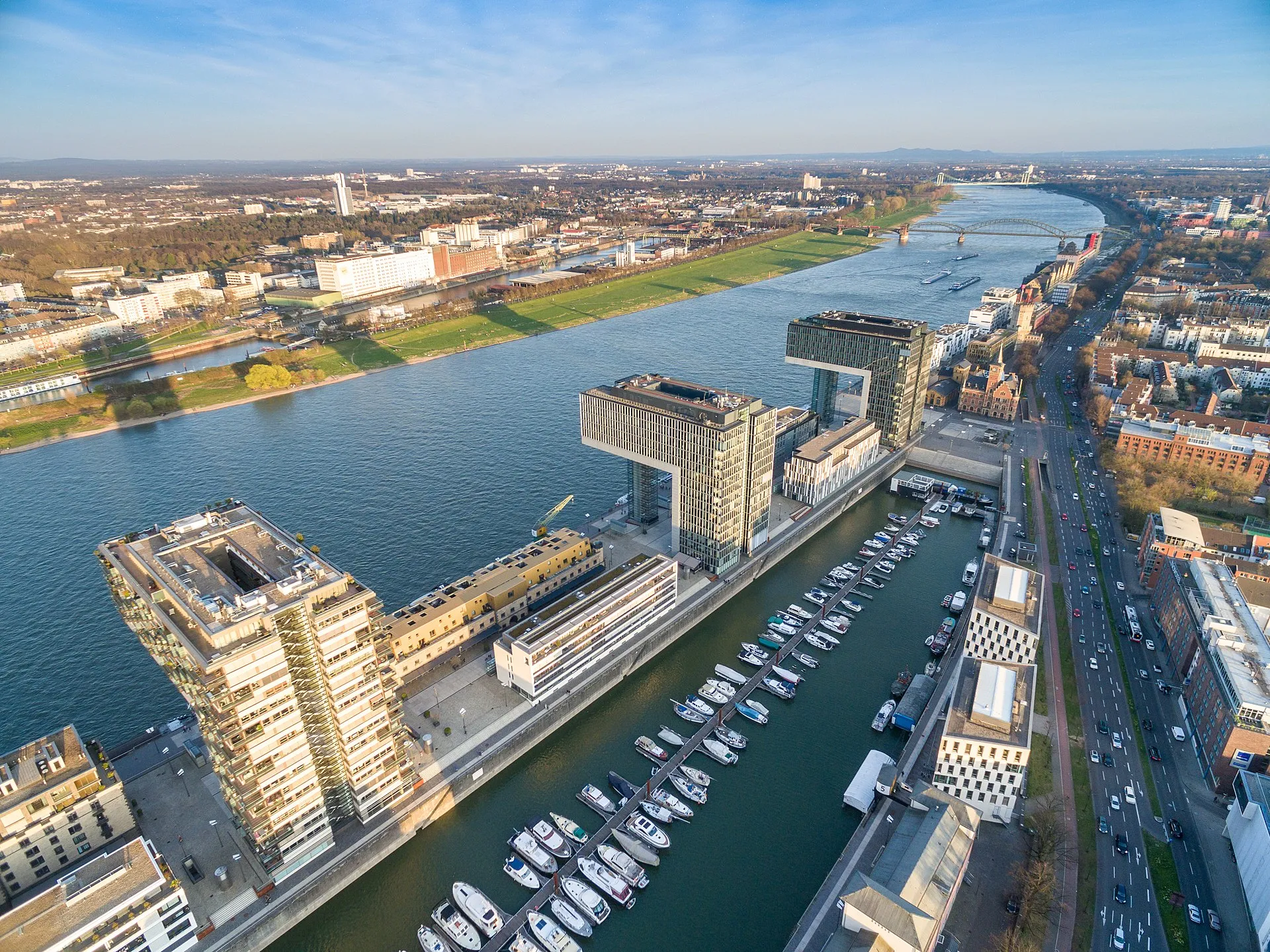 Cologne