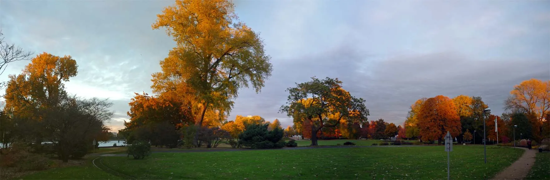Rheinpark in Köln in den letzten Oktobertagen vor dem Sonnenuntergang. - Panoramafoto aus vier Aufnahmen