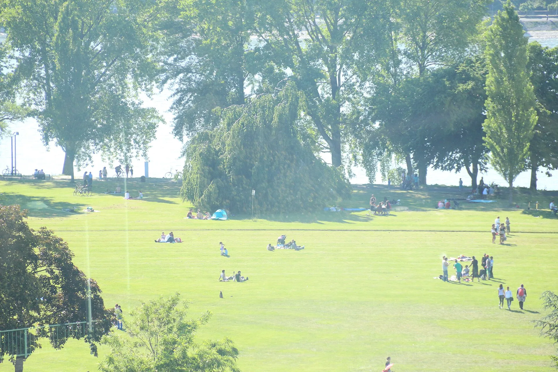 Rheinpark Köln