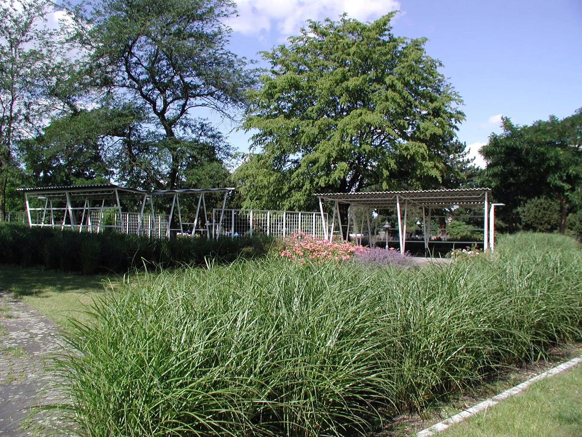 Rheinpark, Köln- Deutz
