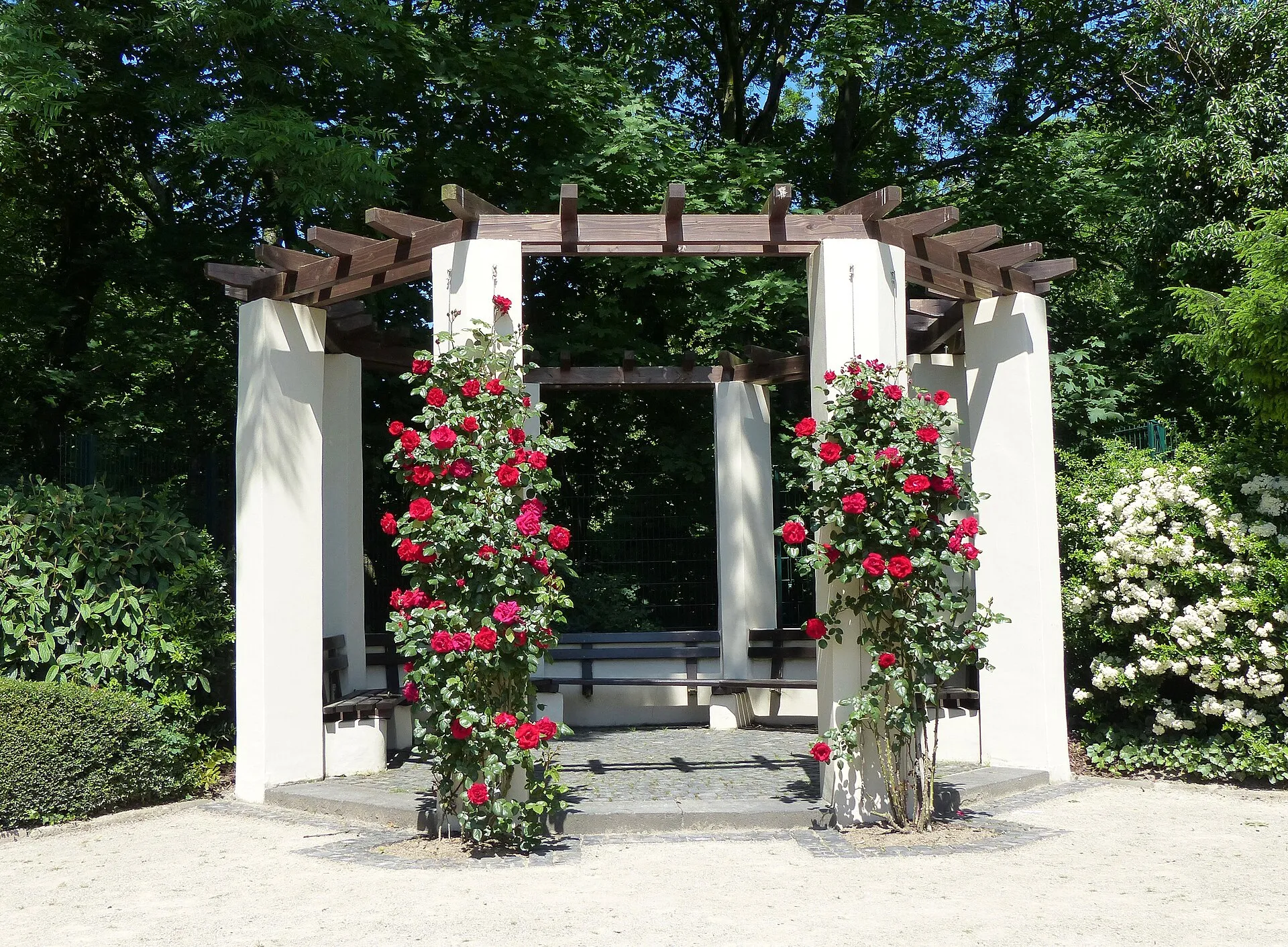 Rosengarten der Stadt Köln im Hilde-Domin-Park: Rosenpavillon