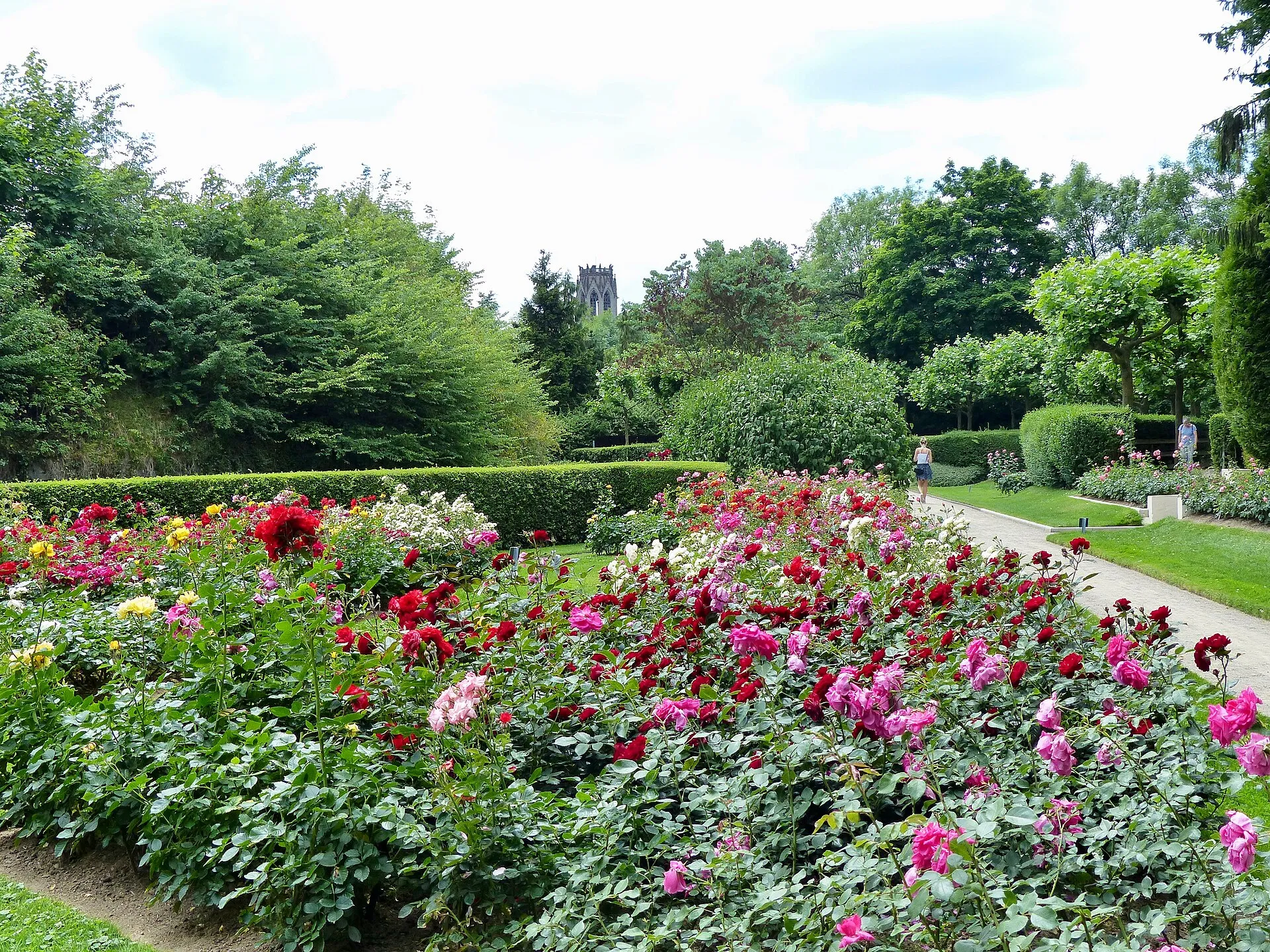 Rosengarten mit Blick auf die Agneskirche
