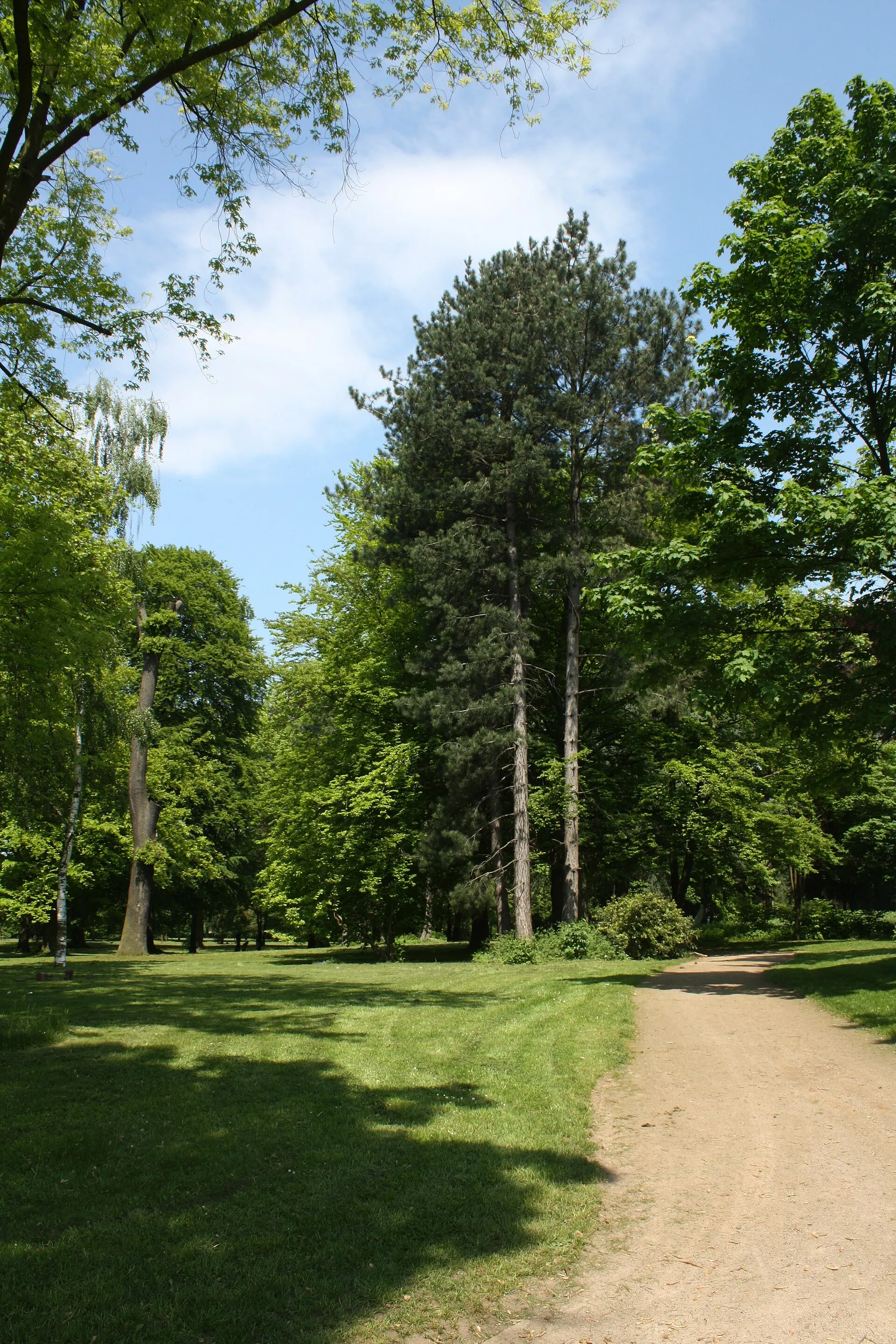 Schlosspark Köln-Stammheim, Rundweg