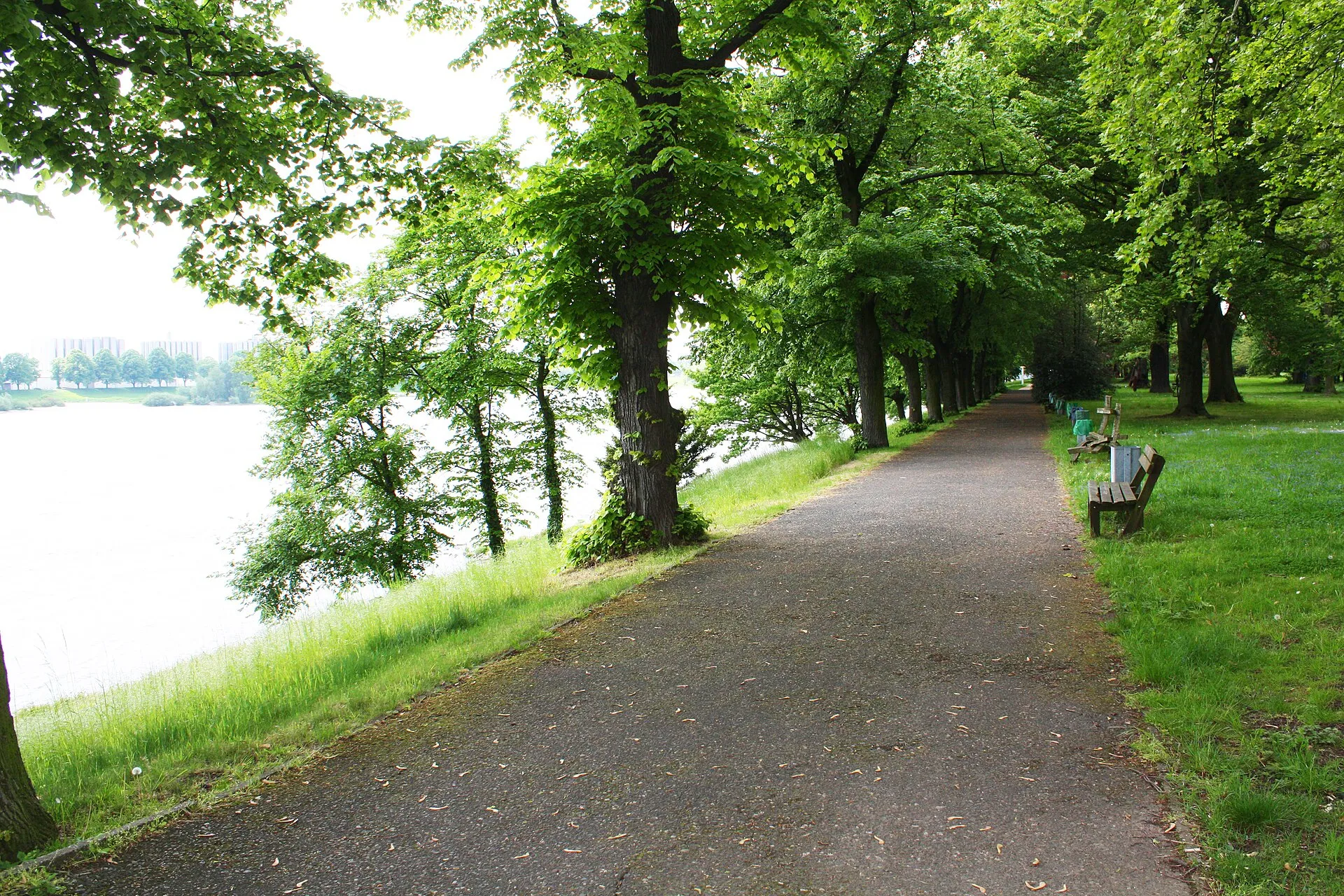 Schlosspark Köln-Stammheim, Rheinseite obere Allee