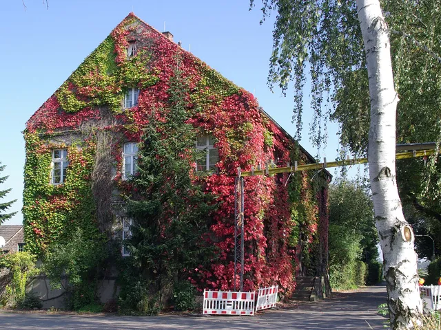 Schönrath