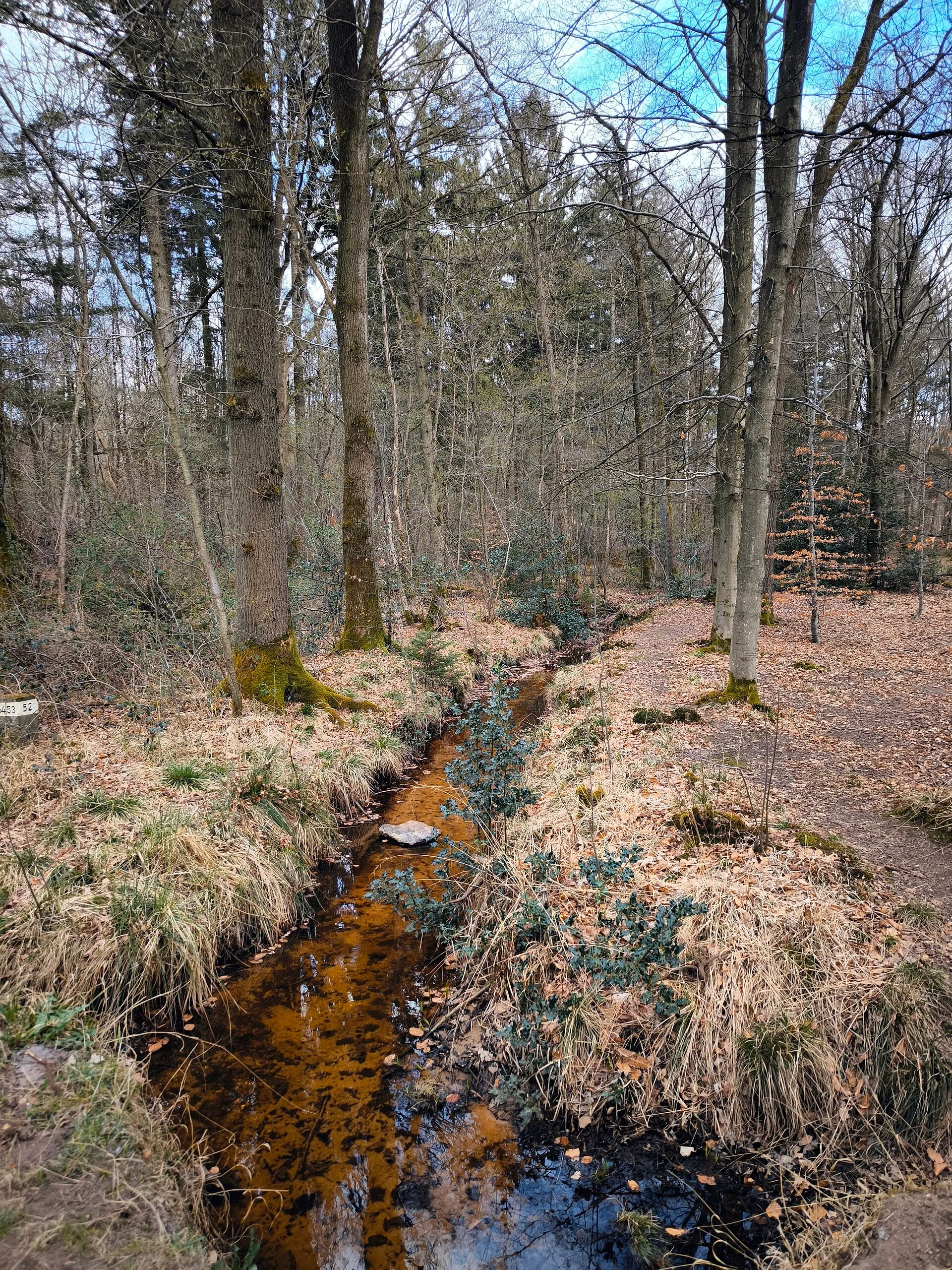 Selbach (Flehbach)
