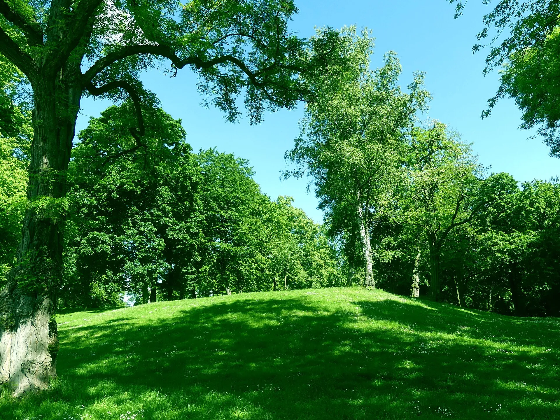 Deutzer Stadtgarten