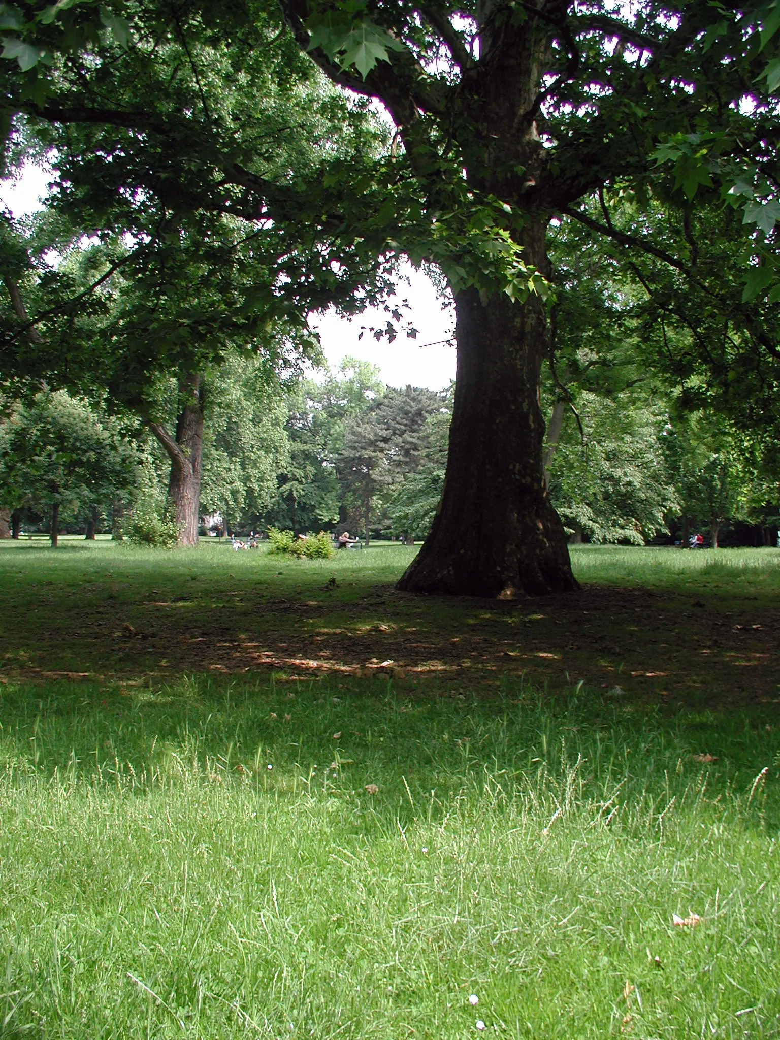 Stadtgarten-Köln