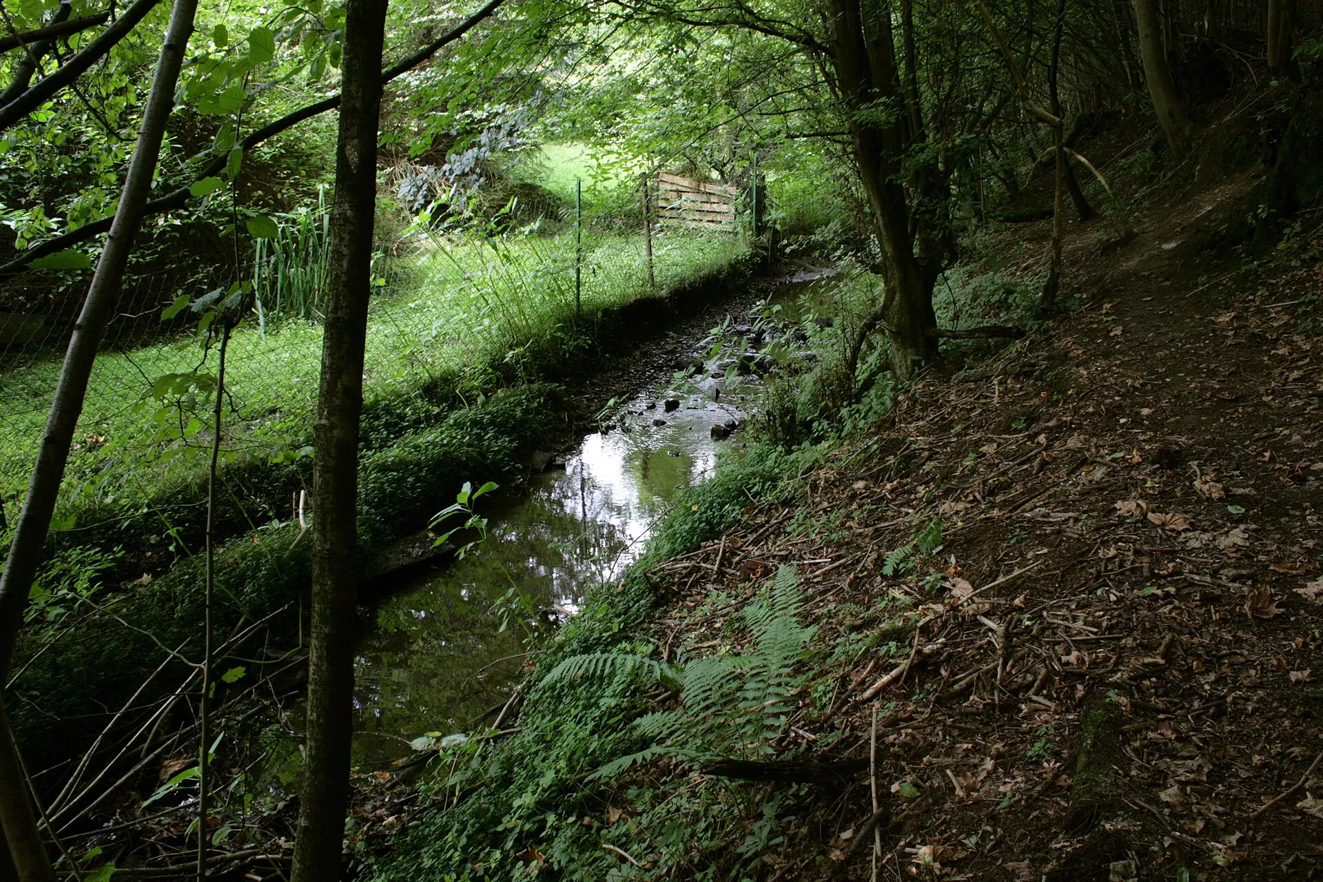 Inoffizielle Strunde, die an der offiziellen Strundequelle entlangläuft, in Herrenstrunden, Bergisch Gladbach