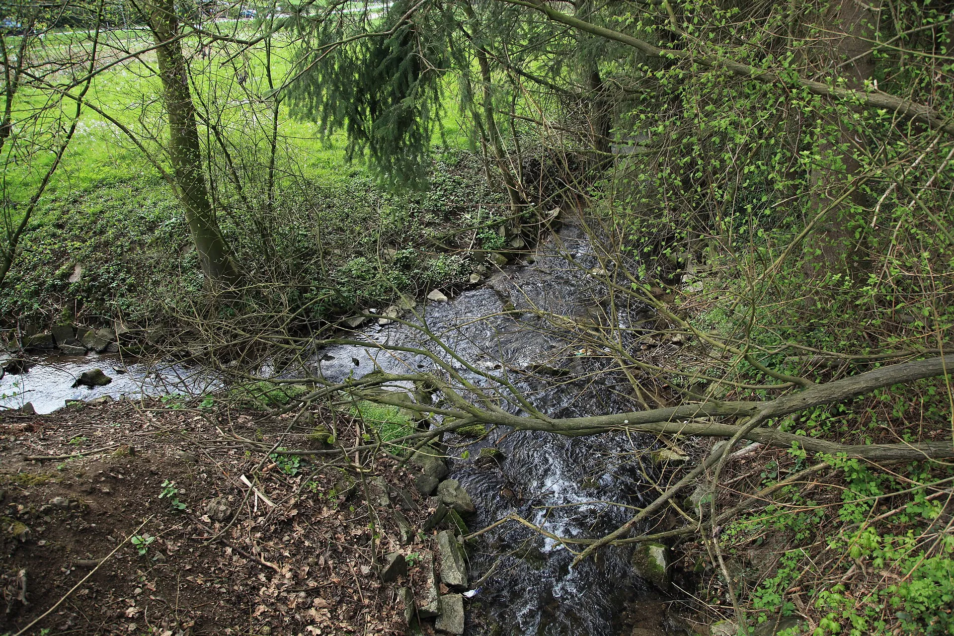 Mündung des Asselborn in die Strunde (kurz hinter dem Freibad) in Herrenstrunden, Bergisch Gladbach