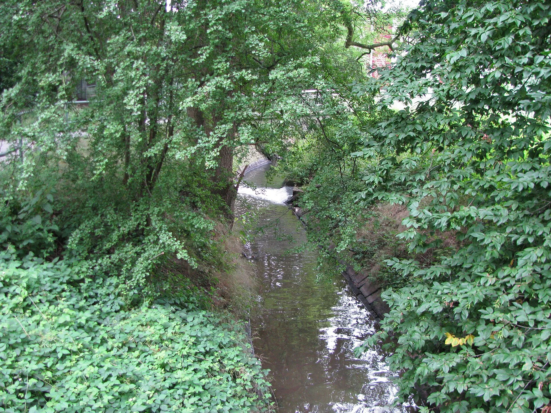 der Faulbach mit dem Zulauf aus der Strunde bei dem Kreuzungsbauwerk der beiden Bäche