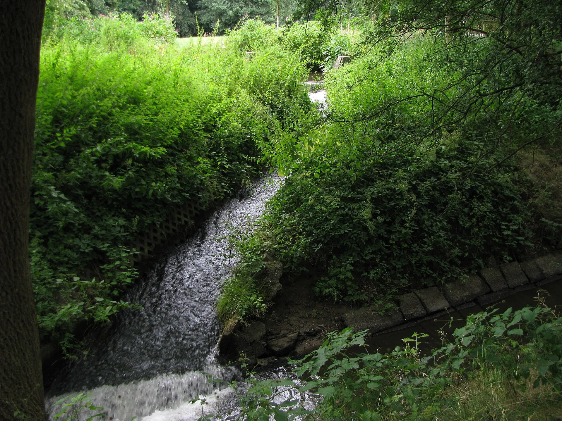 der Überlauf aus der Strunde in den Faulbach bei dem Kreuzungsbauwerk der beiden Bäche