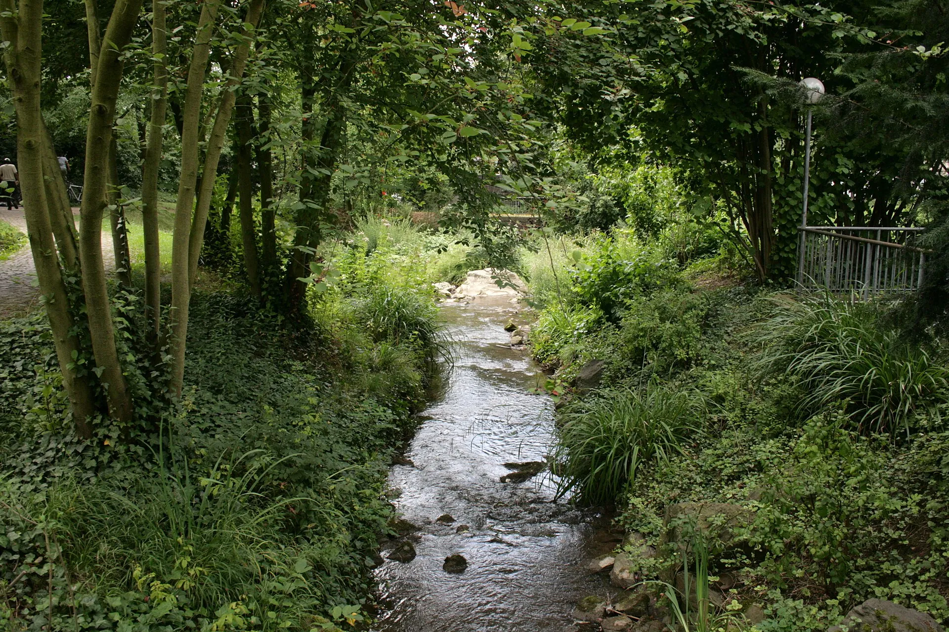 Die Strunde an der Maria-Zanders-Anlage in Bergisch Gladbach