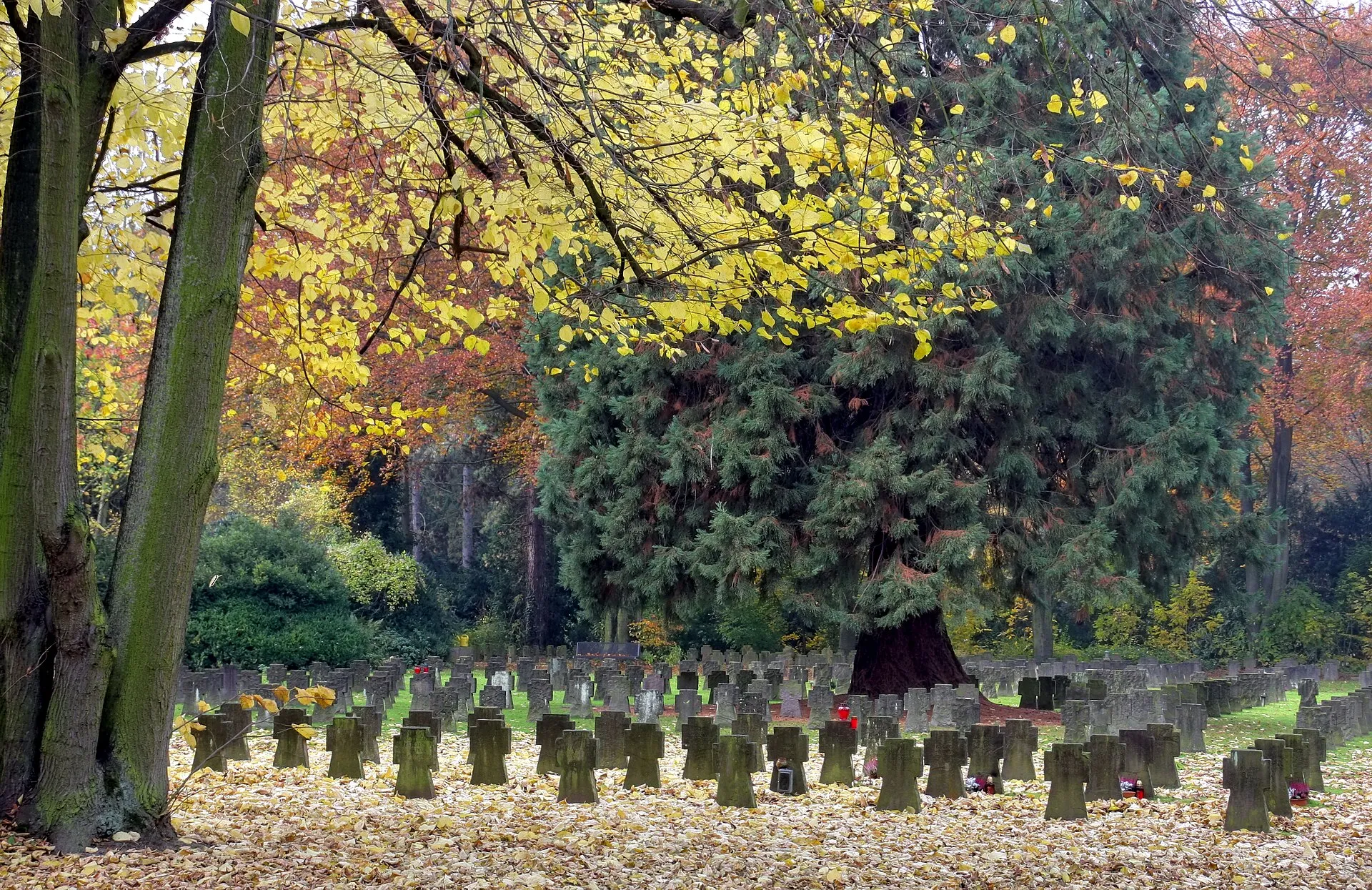 Südfriedhof Köln. Kriegsgräber hinter dem südwestlichen Hochkreuz.
