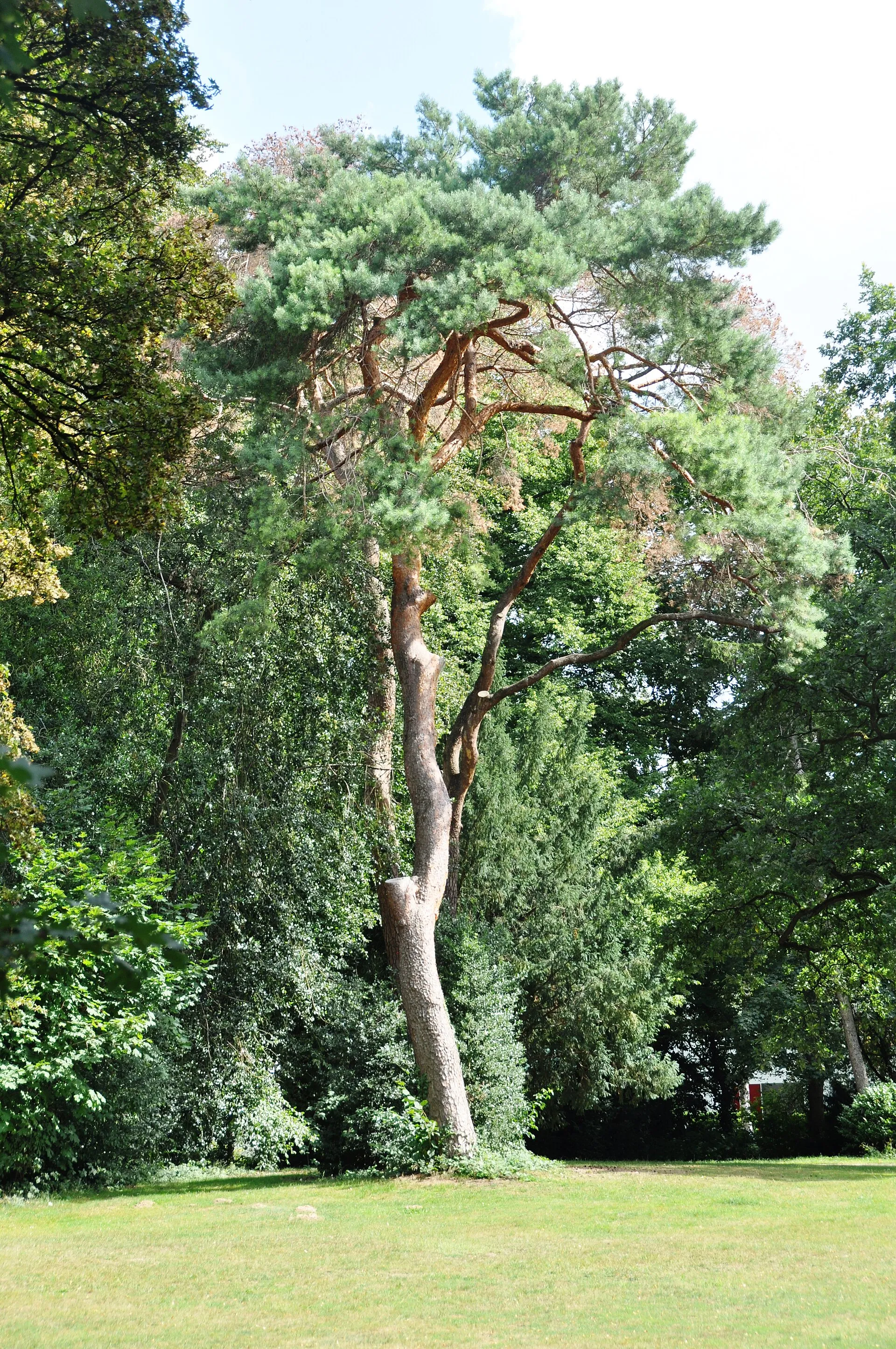 Im Kölner Südpark, 2020