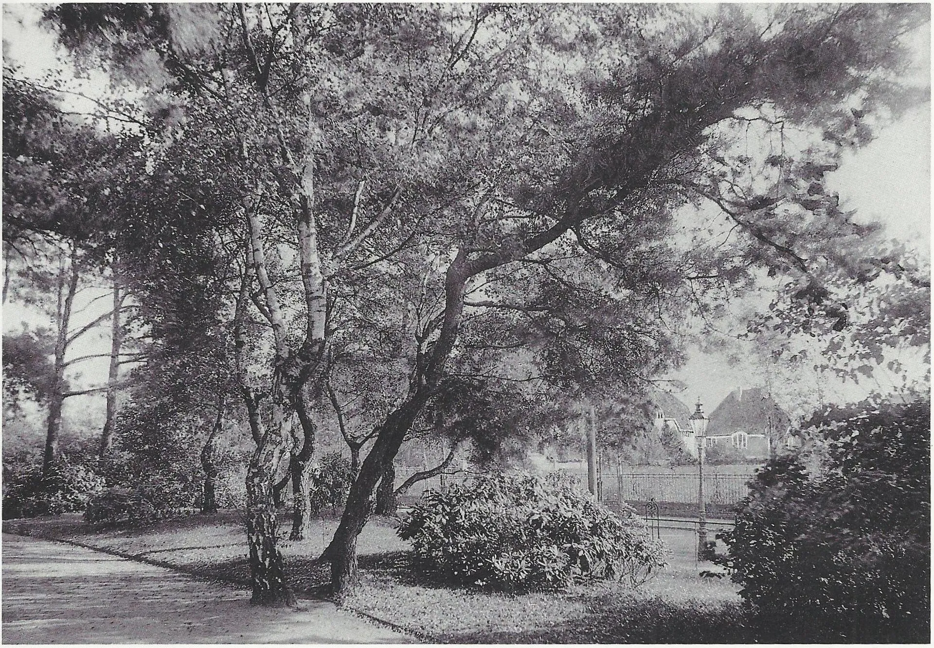 Südpark , Köln-Marienburg ; im Hintergrund Häuser der Lindenallee