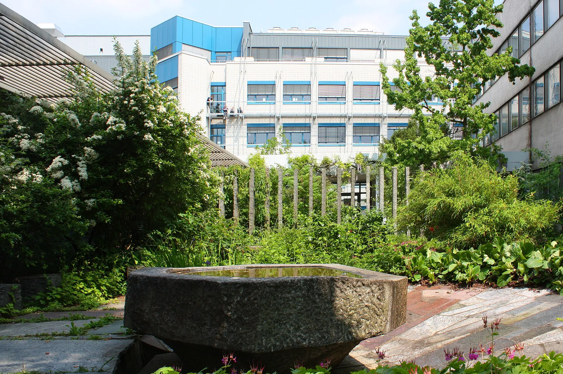 Kölner Brunnen, Zülpicher Straße (Mineralogisch- Petrographisches Institut). Entwurf Gartengestaltung der Universität zu Köln