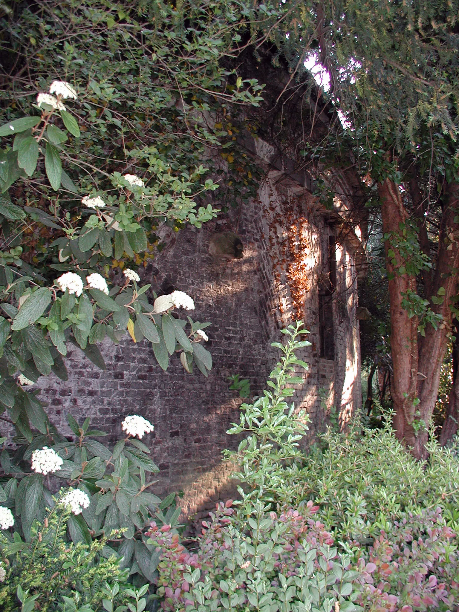Innerer Festungsring-Köln-Fort IV, Volksgarten