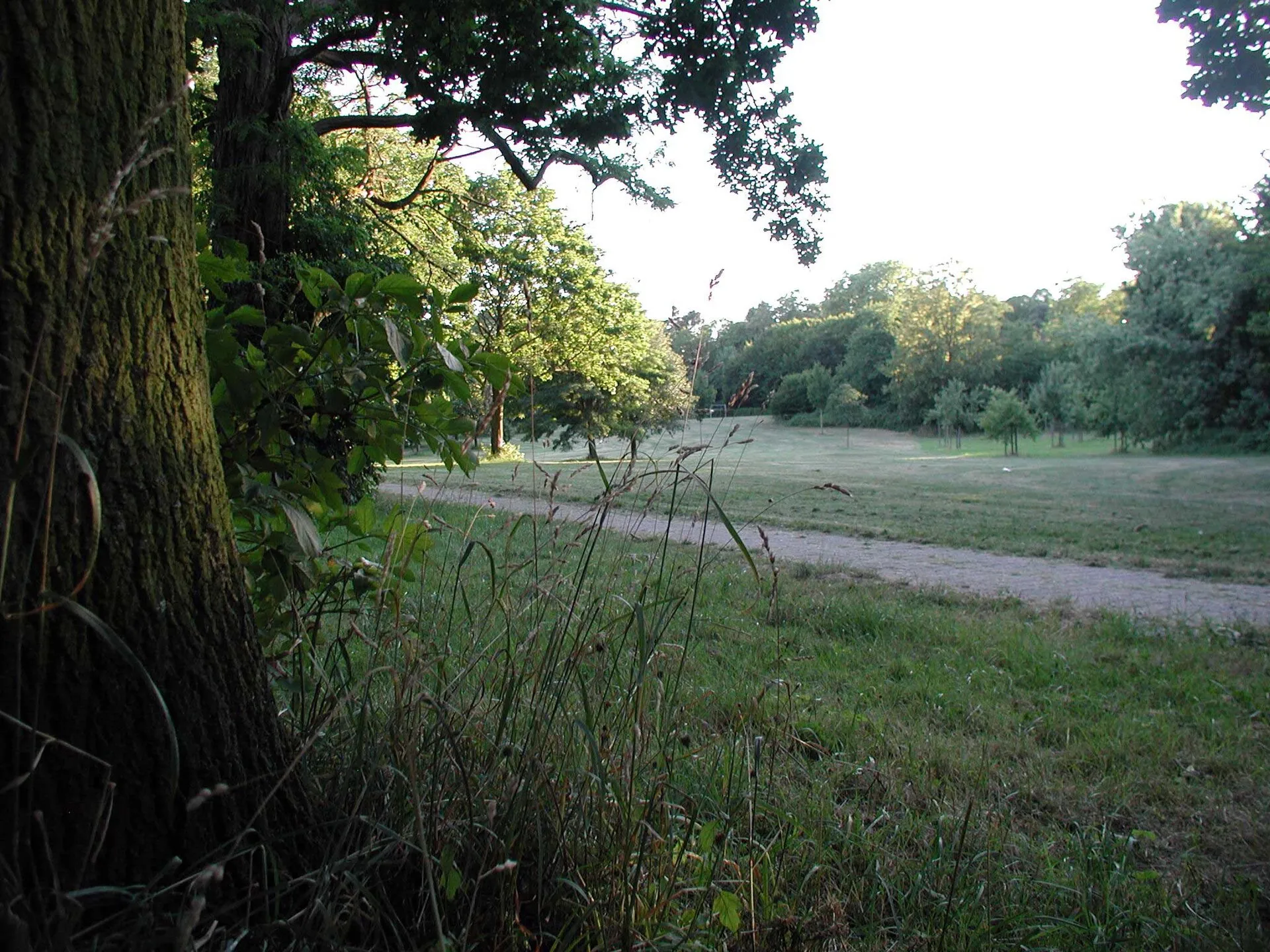 Grüngürtel-Köln-Vorgebirgspark