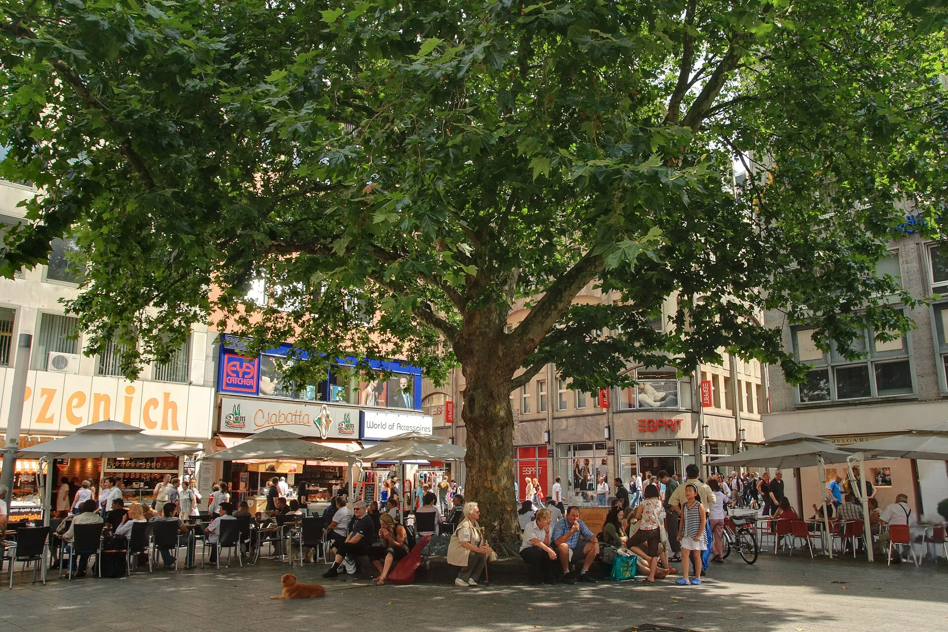 Wallrafplatz, Cologne, Germany in Summer
