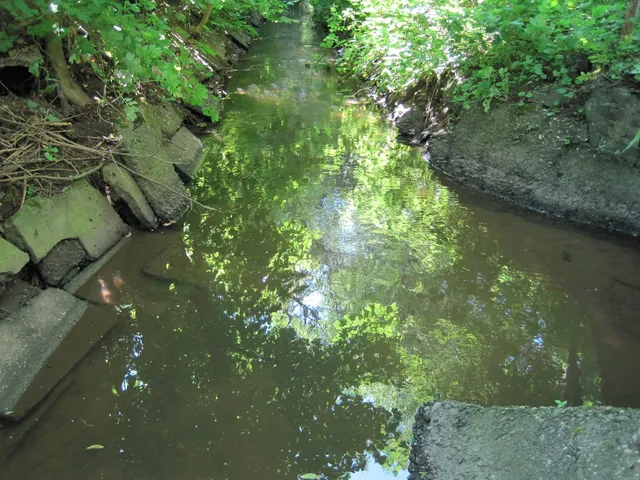 Flehbach