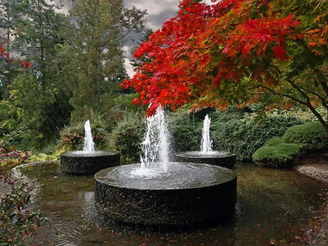 Forstbotanischer Garten Köln