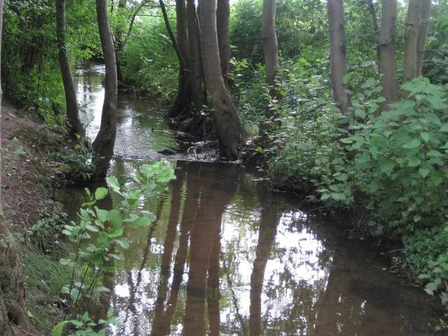 Frankenforstbach