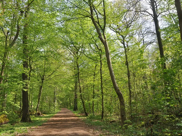 Gremberger Wäldchen
