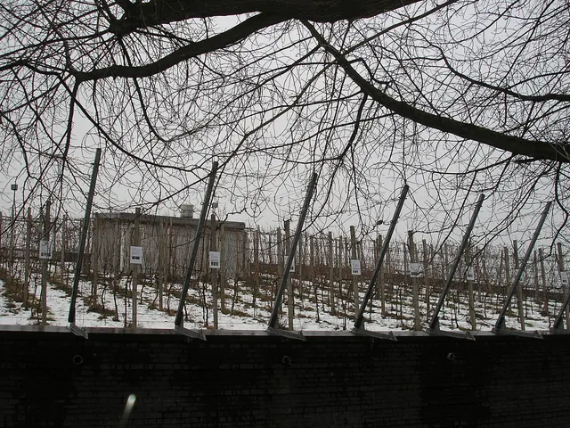 Kölner Weinmuseum