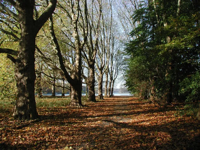 Kölnpfad