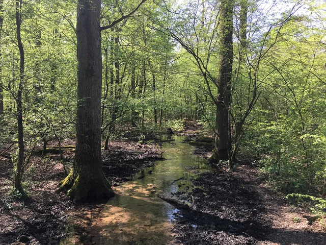 Kurtenwaldbach