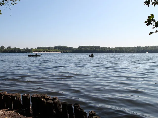 Liblarer See