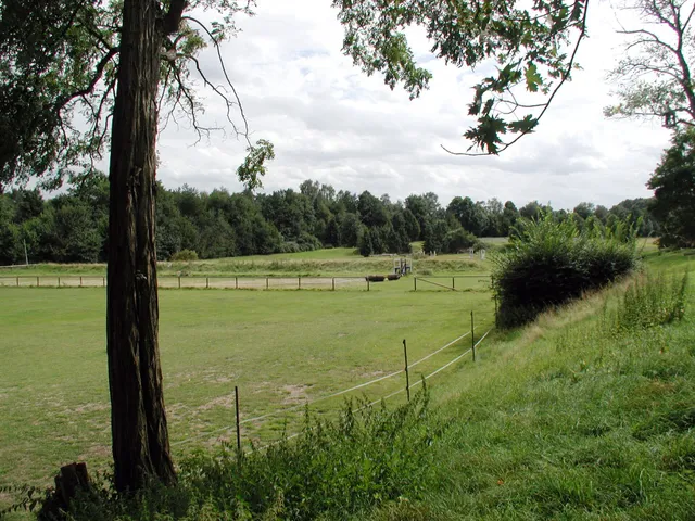 Merheimer Heide