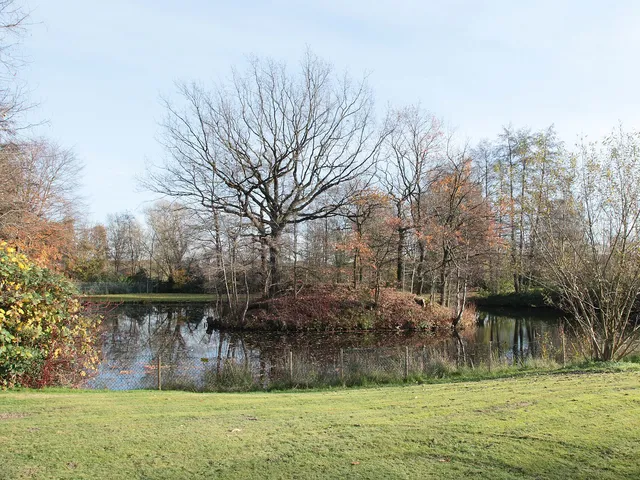 Kurtekotten Motte