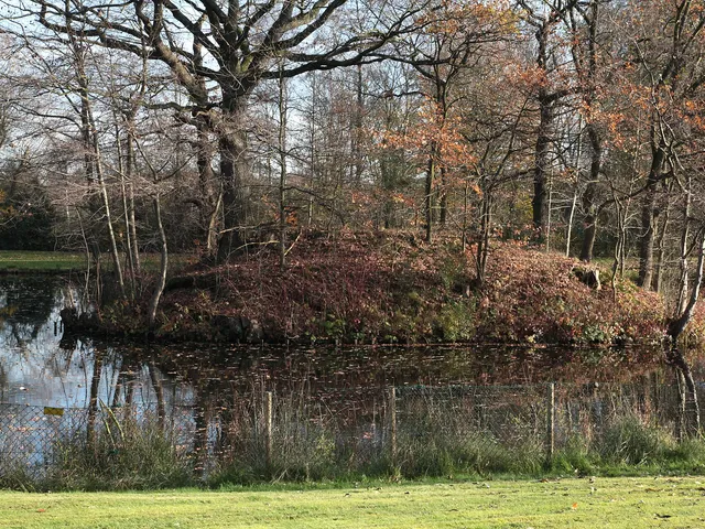 Motte Kurtekotten