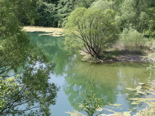 Am Ginsterpfad