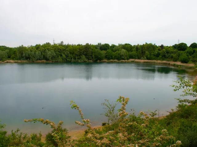 Dellbrücker Heide