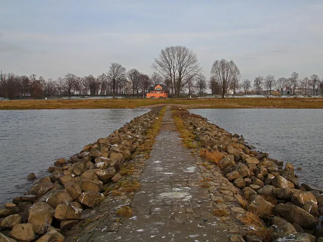 Poller Köpfe
