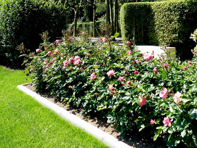 Rosengarten