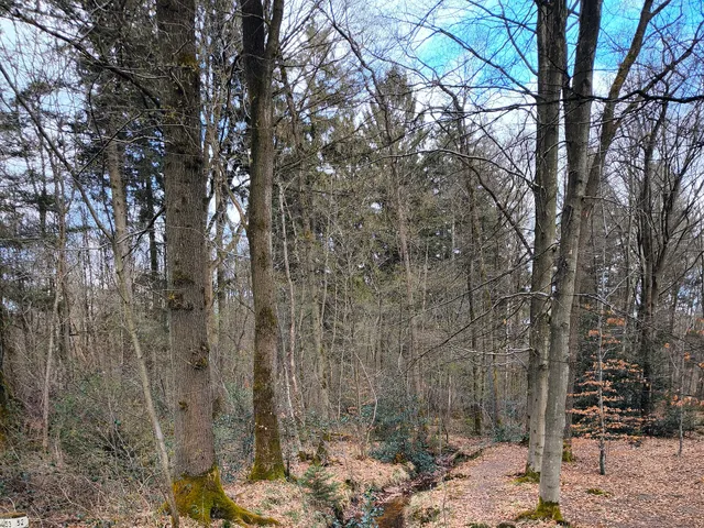 Selbach (Flehbach)